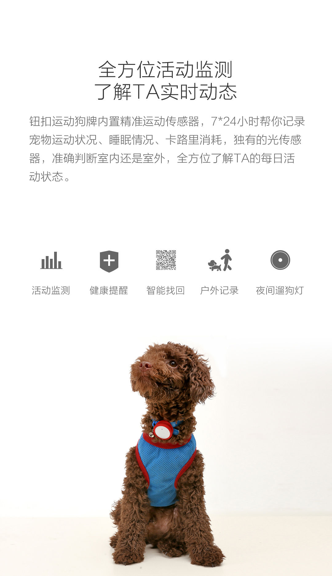 小米智能狗牌