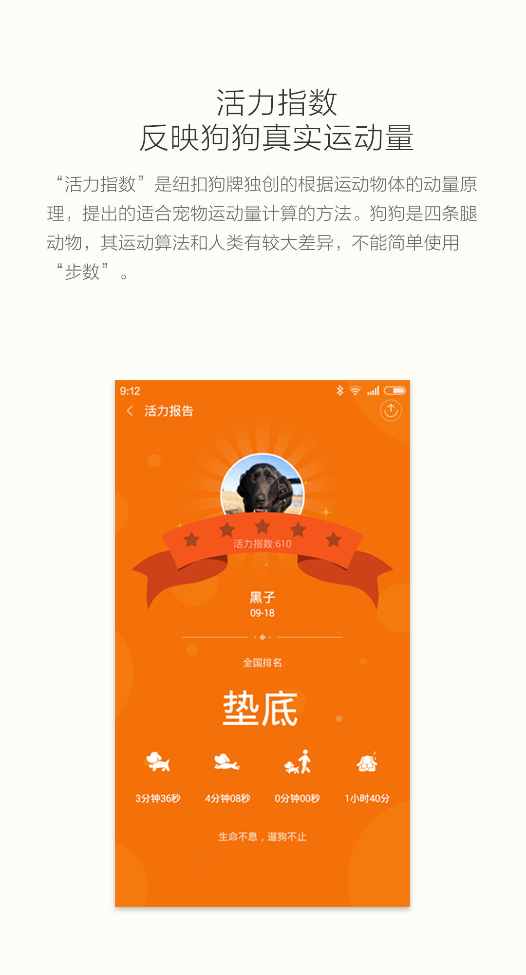 小米智能狗牌