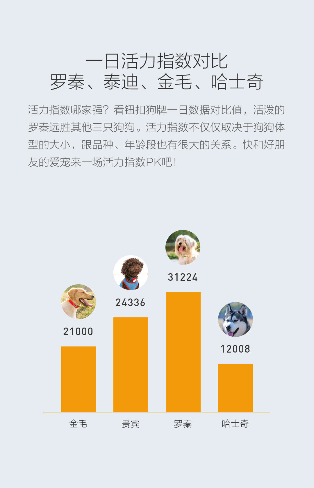 小米智能狗牌
