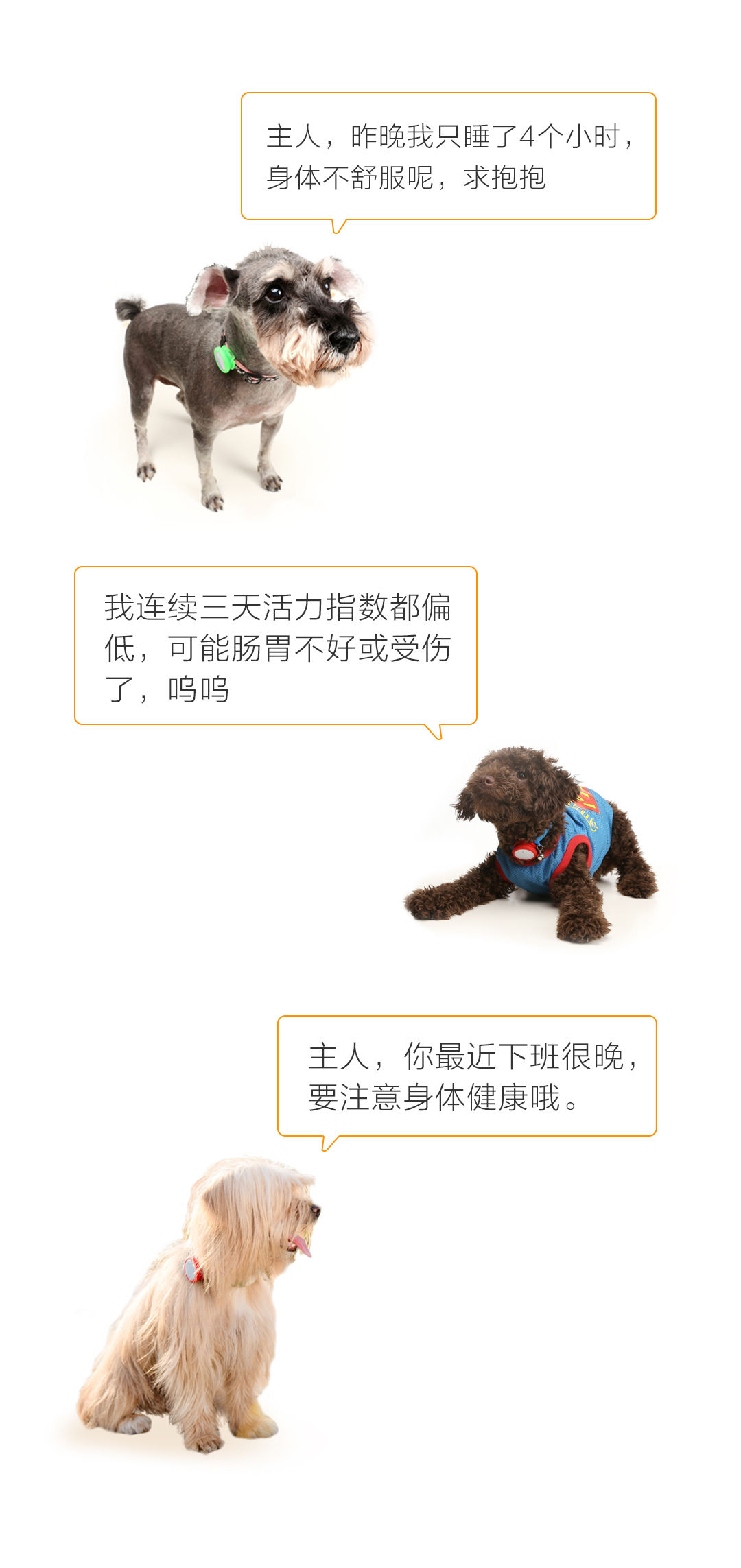 小米智能狗牌