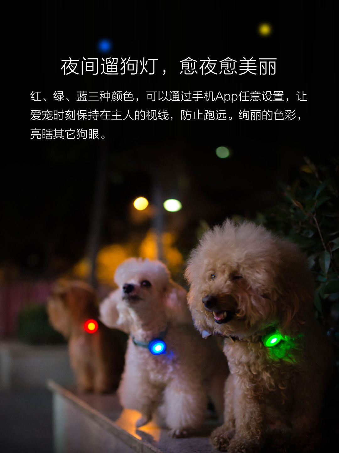 小米智能狗牌