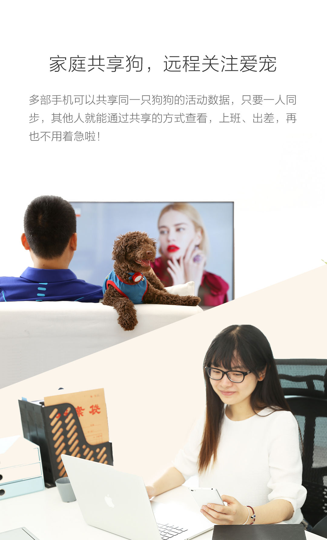 小米智能狗牌
