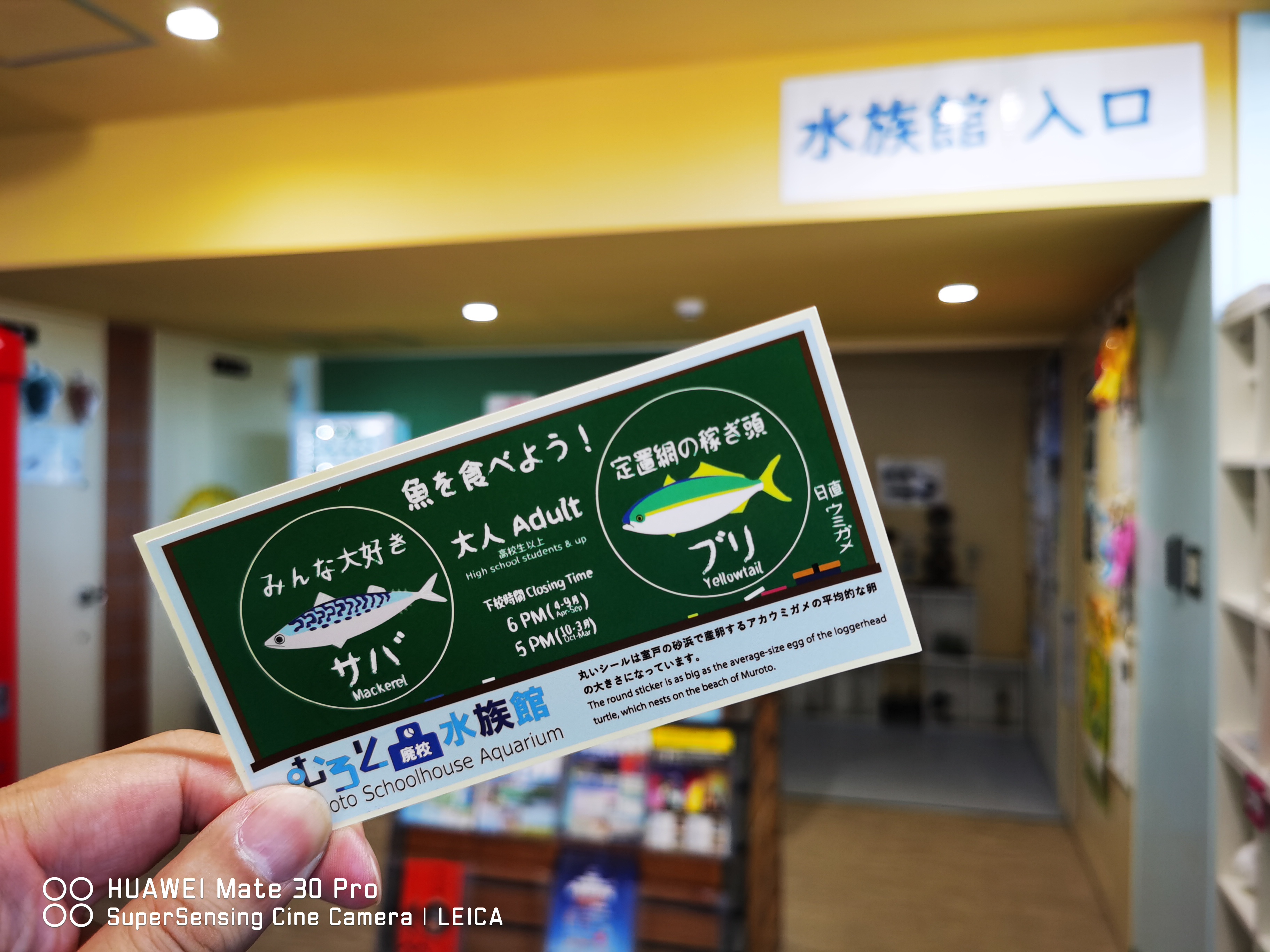 日本四國高知秘境之旅開車自駕行程規劃住宿建議