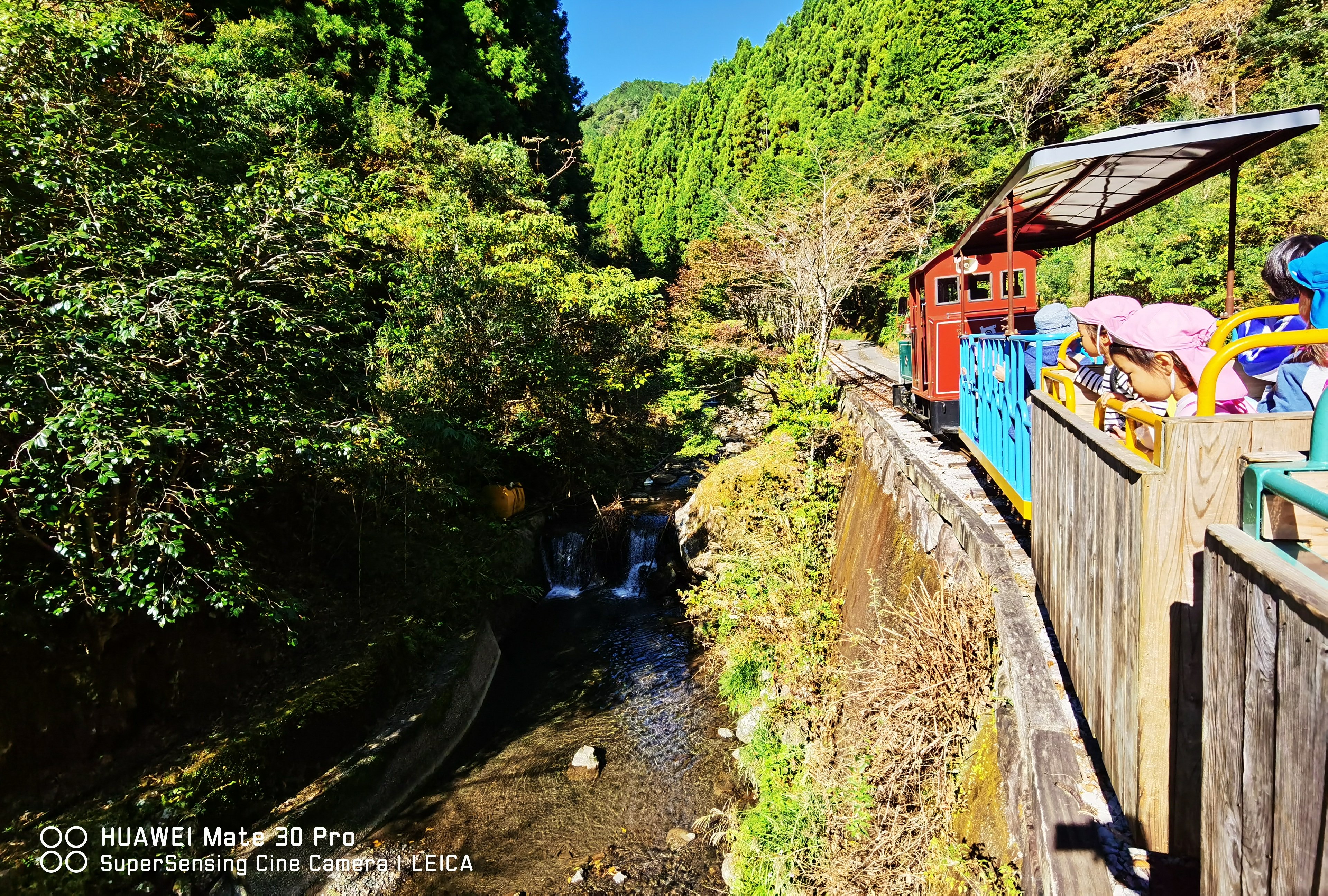 日本四國高知秘境之旅開車自駕行程規劃住宿建議 馬路村、伊尾木洞、龍河洞、西島園藝園地